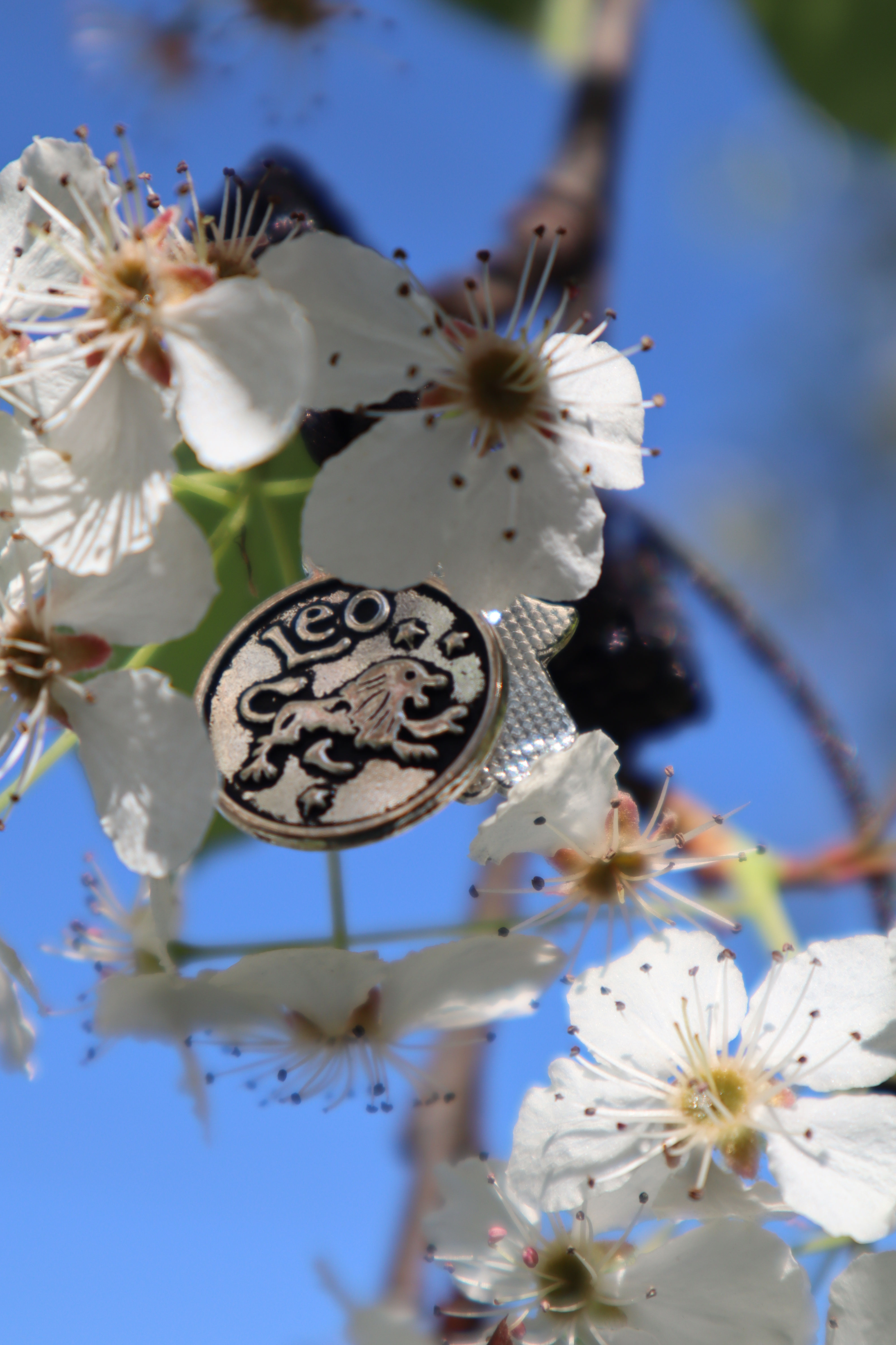 Protection Bracelet Leo