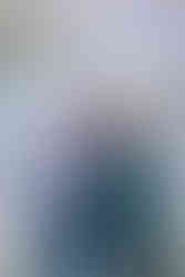 Austin Christmas Mini  - Photo by Meg