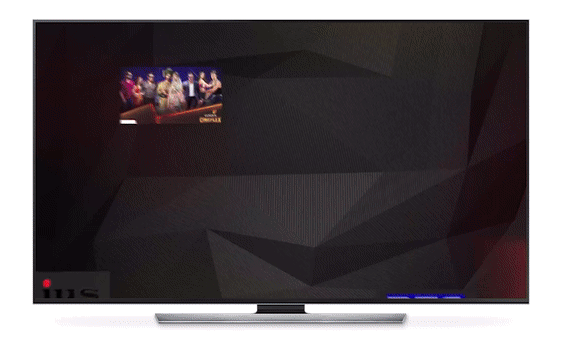 tvscreen.gif