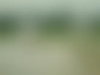 KaroStream: Empowering Women's Cricket Through Innovative Streaming