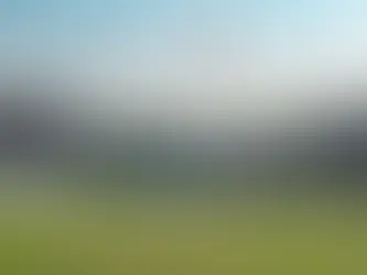 How Live Cricket Streaming is Changing Game Analysis