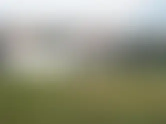 The Exciting Rise of Cricket Streaming: Revolutionizing Sports Fandom