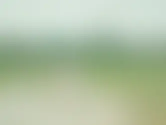 Building a Community of Cricket Fans on KaroStream