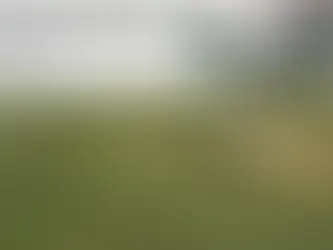 The Economic Impact of Streaming Cricket Live