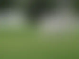 Creating Exciting Watch Parties for Live Cricket Streaming on KaroStream