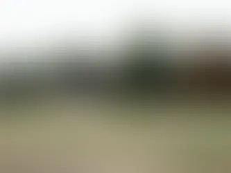 Protecting the Game: Combating Piracy in Live Cricket Streaming