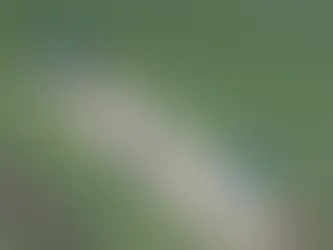Connecting Cricket Fans: KaroStream’s Partnership with Cricket Leagues Worldwide