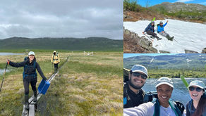 Minnows galore! sampling for an invasive species in northern Sweden