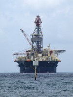 Resiliency through Environmental Bureaucracy