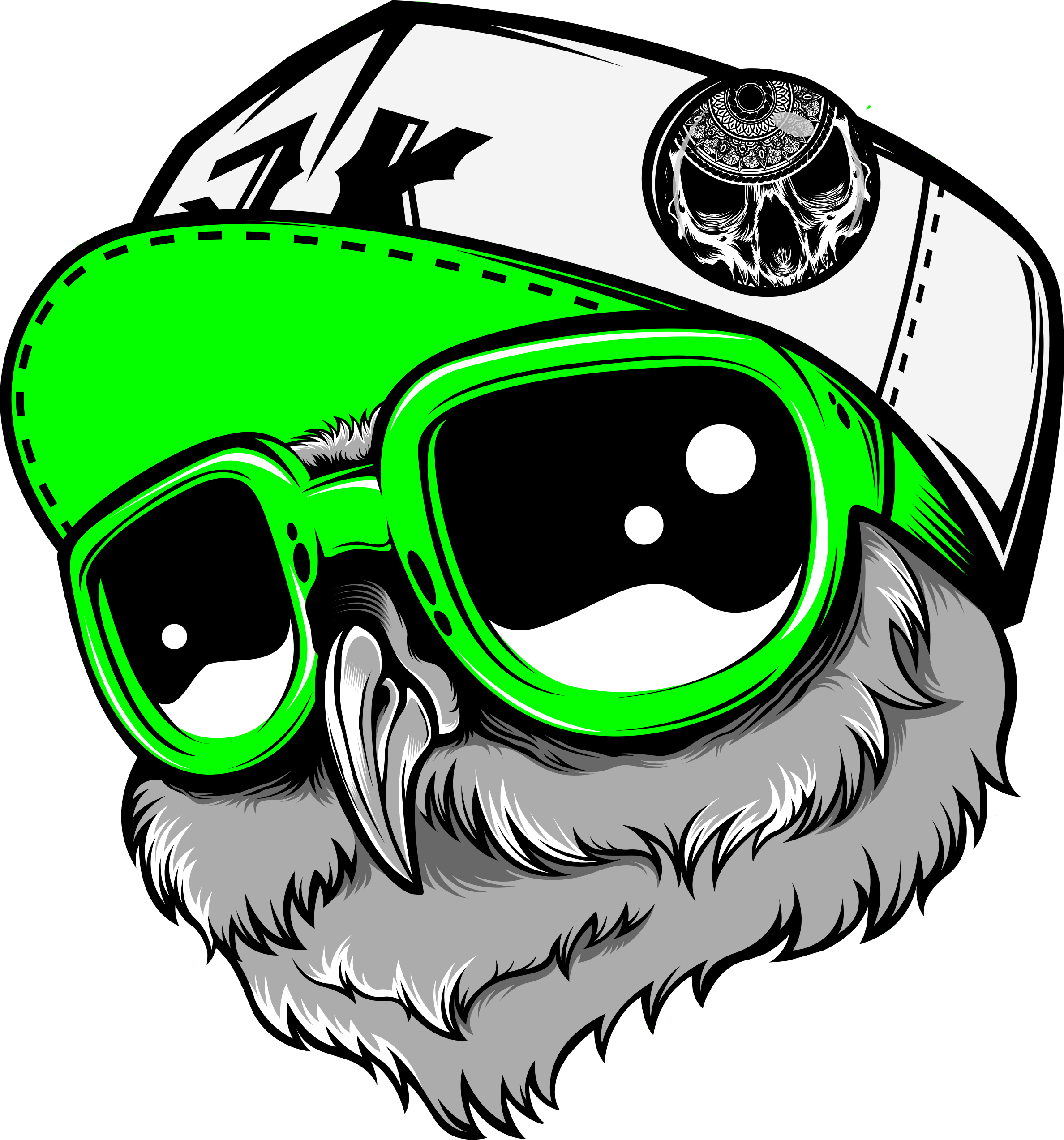 Rap Owl