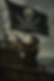 Hoist the Jolly Roger.png
