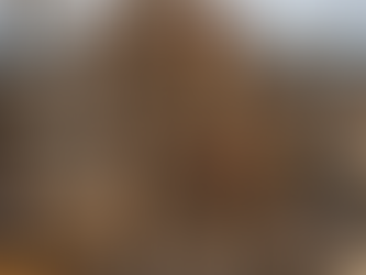 MCP Governance for Power Platform