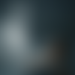 Os que foram para o lado de lá e voltaram para contar