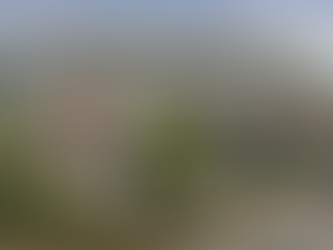 Funkstown No 5. Western Market Reborn