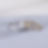 Daylight_Zoomed-01.png
