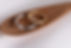 Daylight_Zoomed-01.png
