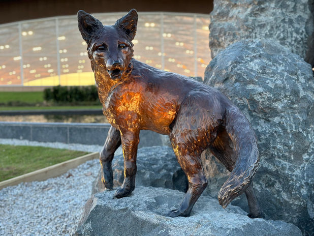 Photo 07-03-2023, 17 39 01.jpg