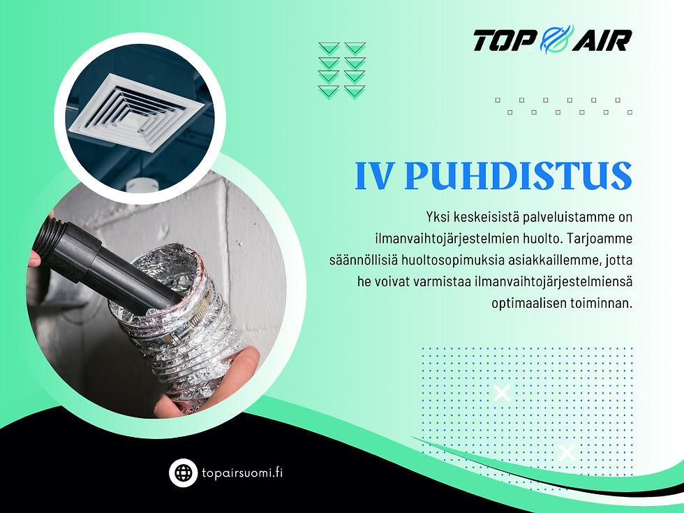 IV Puhdistus