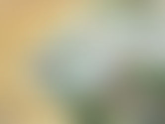 Surmonter notre illettrisme face à la destruction du vivant