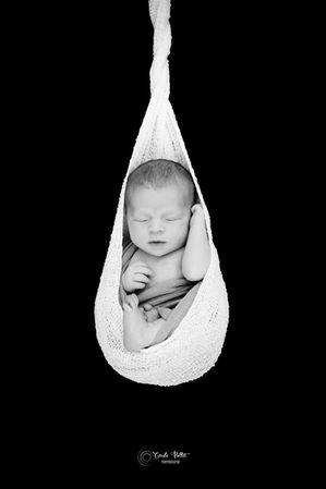 photo artistique bébé nouveau-né cocon suspendu studio photo Lille Armentières