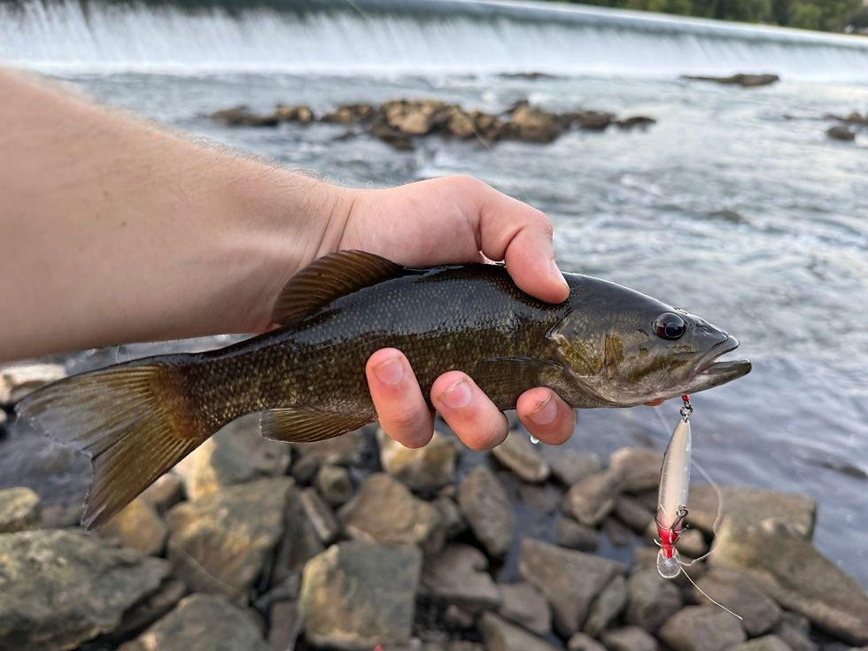 A Big Dam Problem