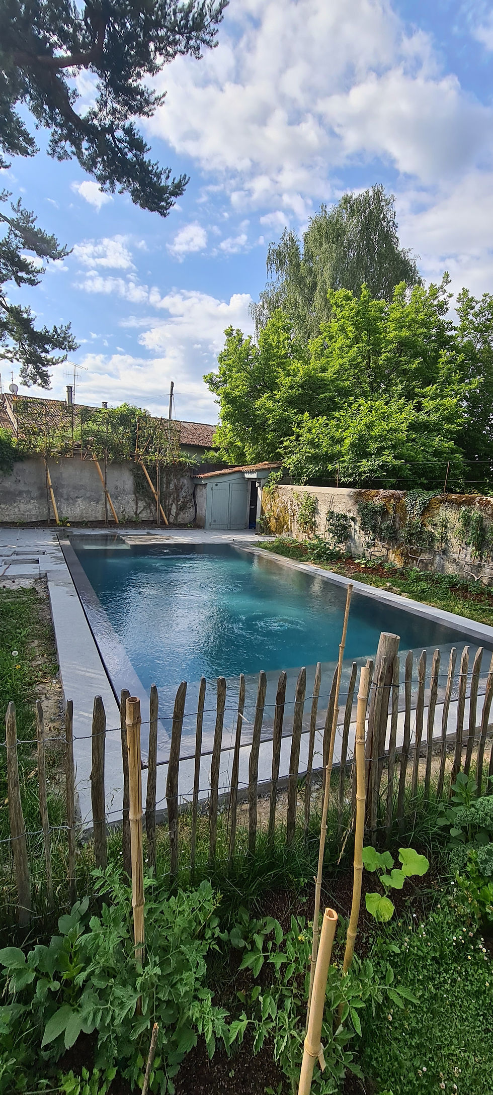Transformation complète d'une ancienne piscine à débordement à Genève