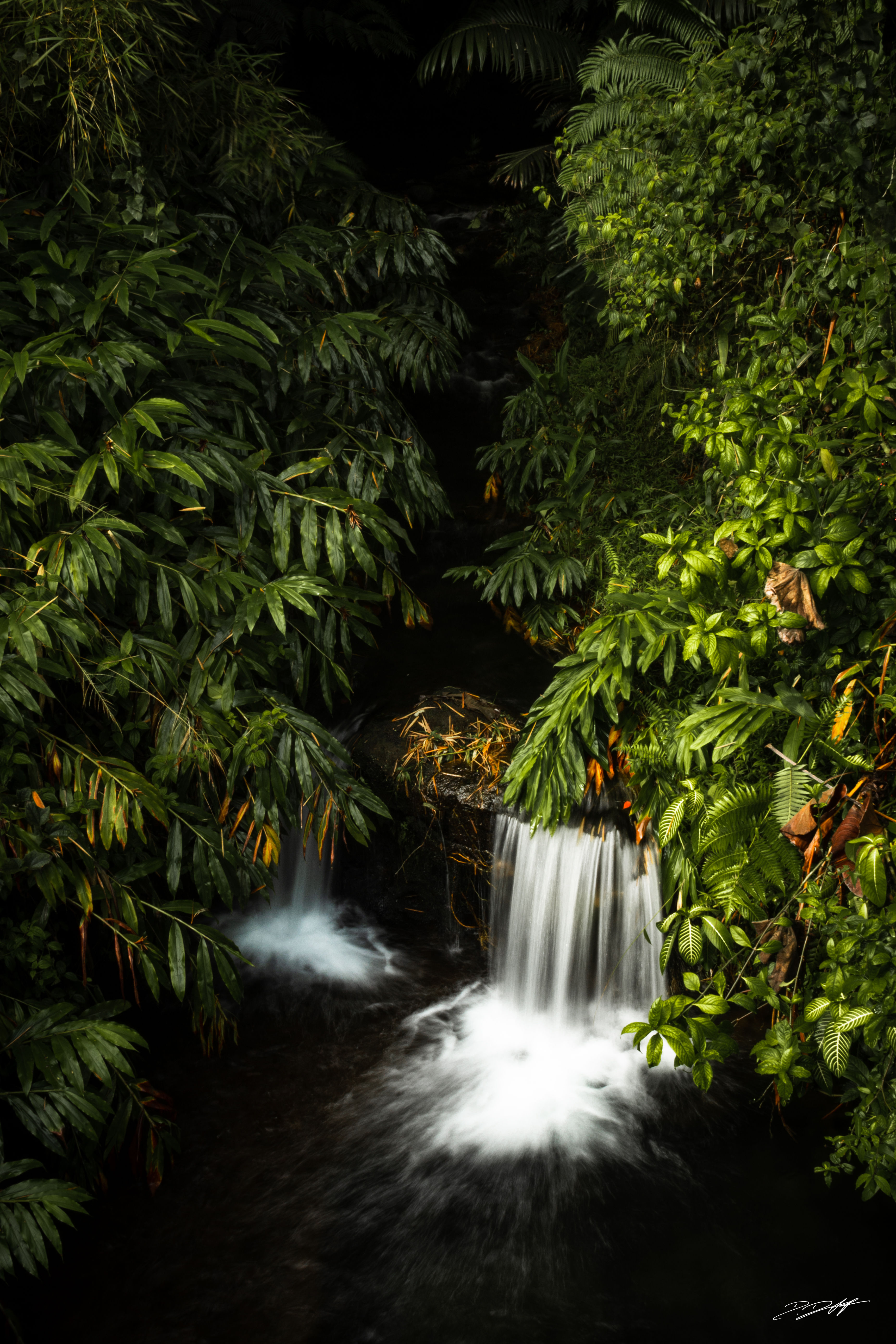 Where It All Changed