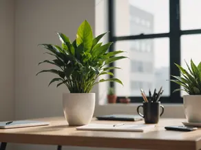 5 Simple Tao-inspired Ways to Boost Your Mental Health and Productivity as a Busy Professional