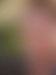 Chris Evans como Steve Rogers