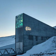 Guardiões do Futuro: Bancos de Sementes e a Preservação da Biodiversidade