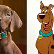 Scooby-Doo ganha primeiro teaser live-action e revela versão inédita do cachorro mais famoso dos desenhos