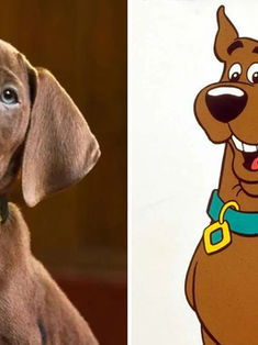 Scooby-Doo ganha primeiro teaser live-action e revela versão inédita do cachorro mais famoso dos desenhos