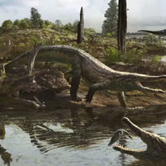 Descoberta de Crocodilo Pré-Histórico Revela Nova Espécie em São Paulo