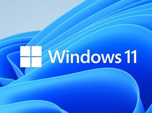 Windows 11