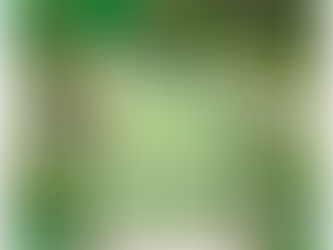 Diário BBB 23 | Prova do líder já passa de 11 horas