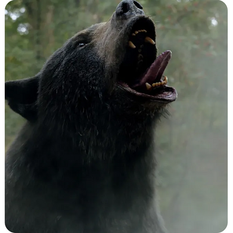 Filmes e séries | Lançamentos da semana