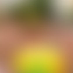 Bloco de Calvin Harris em São Paulo