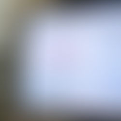 Orkut Completa 20 Anos: Relembre os Perrengues e Nostalgias da Rede Social