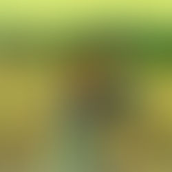 "Essa história também me pertence" | Adriane Galisteu Reage à Minissérie Senna da Netflix