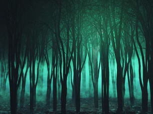 Florestas Assombradas ao Redor do Mundo | Histórias e Lendas de Lugares Misteriosos