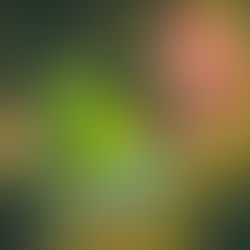 Super Mario Galaxy ganha trailer e apresenta Yoshi no cinema