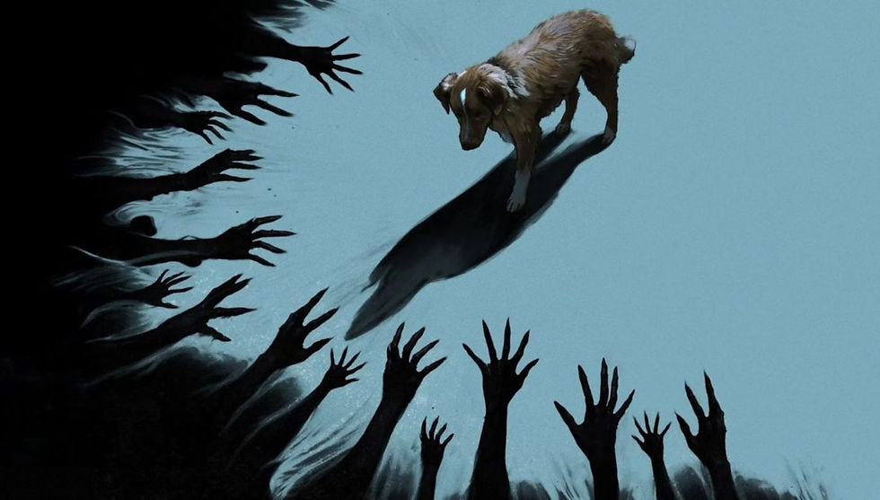 Crítica | Bom Menino – Quando o olhar de um cachorro revela o verdadeiro terror humano