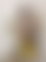 「POP Culture Shock Toys Street Fighter Vega 1/4 Scale Statue」レポート