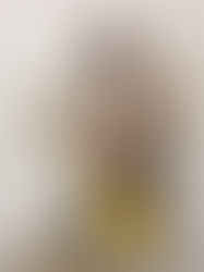 「POP Culture Shock Toys Street Fighter Vega 1/4 Scale Statue」レポート