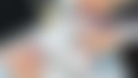 What is MEAL Framework: Meaning, Components & Benefits