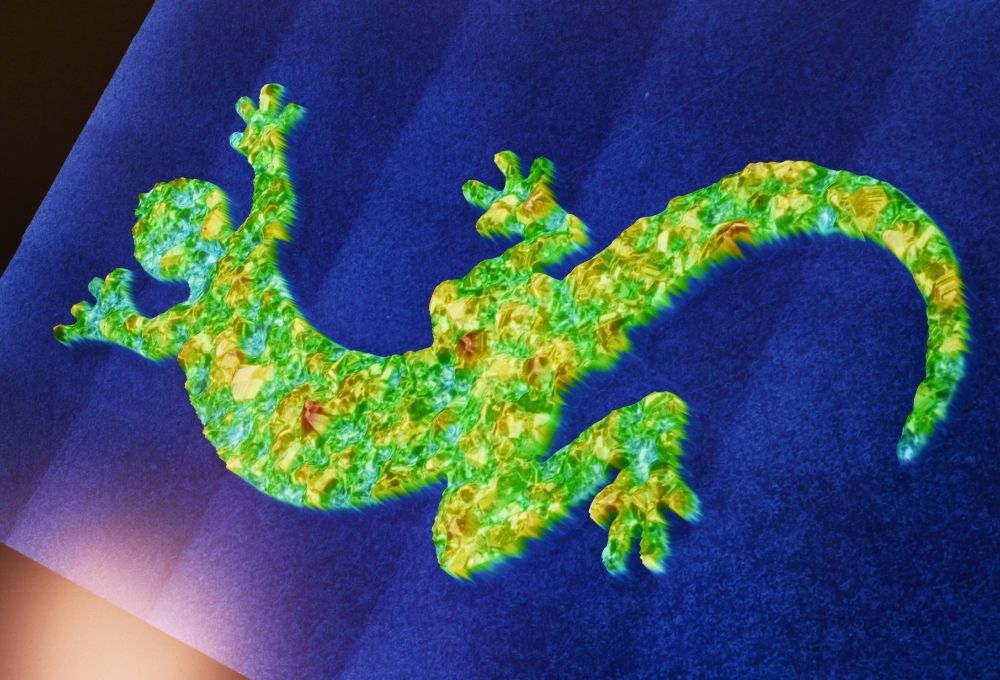 Osmium Lizard Certification Scan.webp