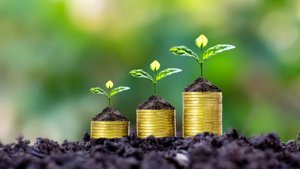 Stacked coins with plants showing CSR growth