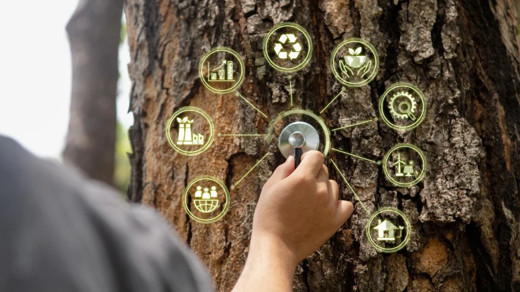 Sector-Specific Applications of SIA