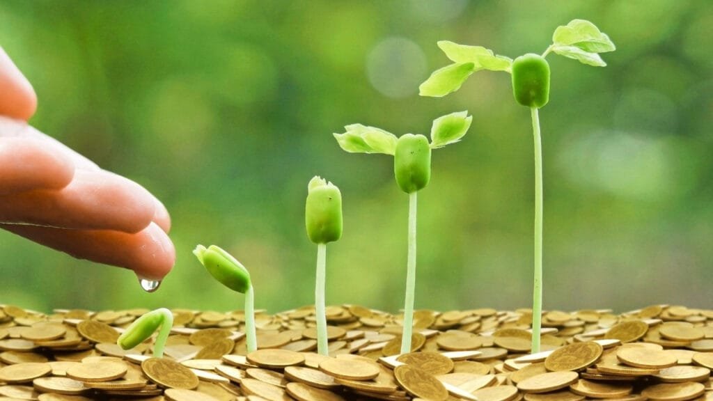 Nurturing sustainable growth