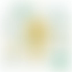 AI Curriculum for K–5 Students